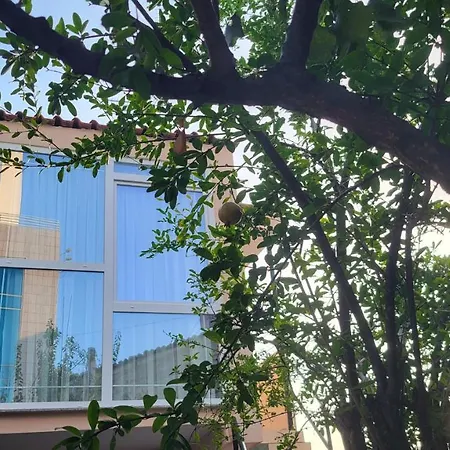 Karanxha's * טיראנה