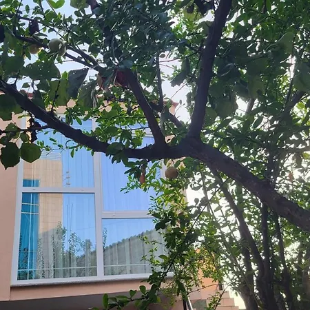 Karanxha's * Tirana
